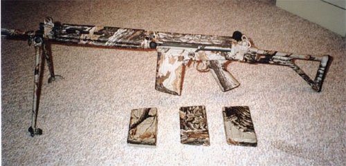 camoleft.jpg (39848 字节)