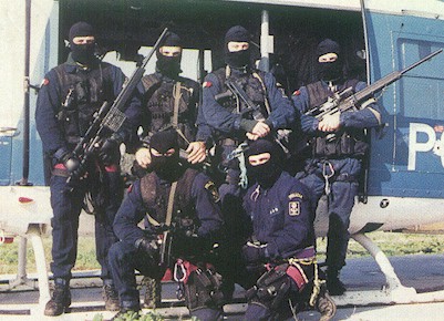 PSG-1.jpg (54733 字节)