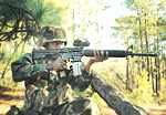 aimpoint5s.jpg (4374 �ֽ�)