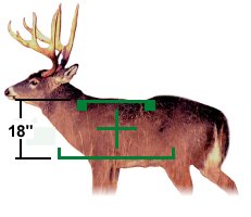 deer.jpg (9382 �ֽ�)