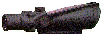 ACOG-ta11.gif (14304 字节)