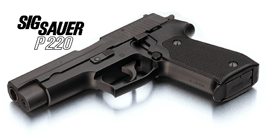 p220-1.gif (51072 字节)