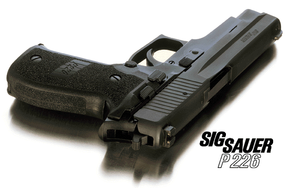 P226.gif (68136 字节)