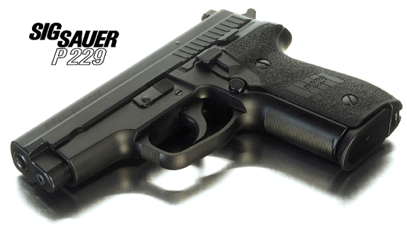 P229-1.gif (65863 字节)