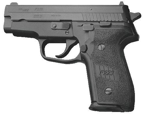 P229.gif (33250 字节)