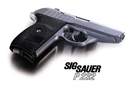 P232-2.gif (44090 字节)