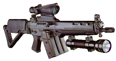SG551-SWAT2.gif (24156 字节)