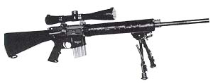 SR15MR.jpg (7809 �ֽ�)