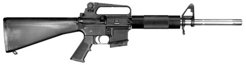 ASA16A2Bull.jpg (9118 字节)