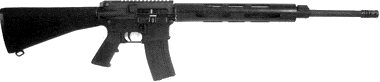 mr20.gif (5606 �ֽ�)
